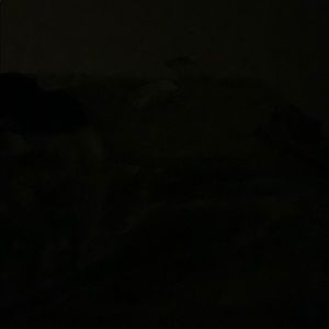 Meet your Posher, Dasha